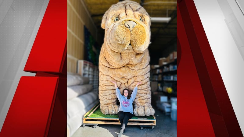 The Good Deed Project has recovered their mascot “Mr. Deeds,” and is now turning their...