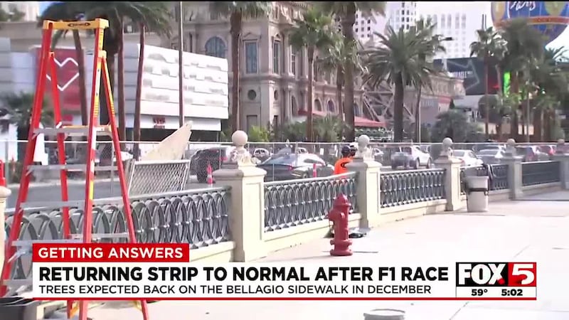 Trees removed outside Bellagio for F1 Las Vegas Grand Prix will return in December