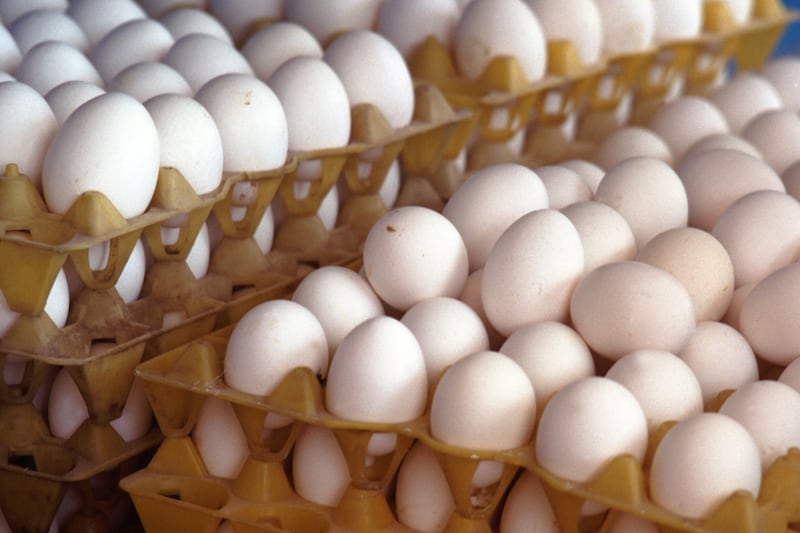 Eggs prices not only impacting families but businesses too