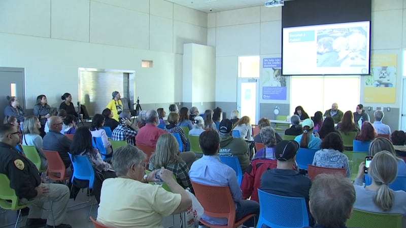 Animal Foundation public meeting on Dec. 21, 2024.