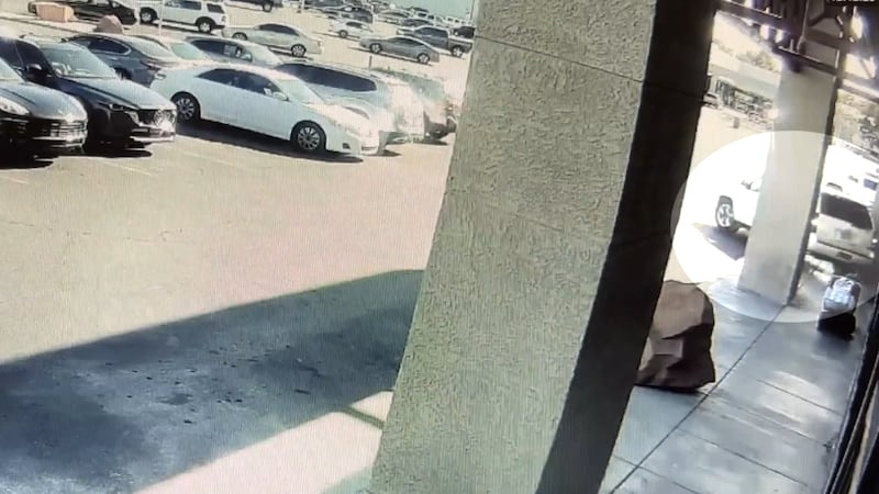 Car backs into Southeast Las Vegas business filled with people
