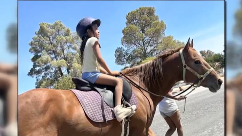 A beloved horse was killed earlier this month while being boarded in Las vegas.
