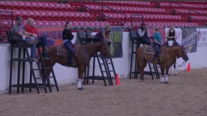 High Roller Reining Classic at South Point