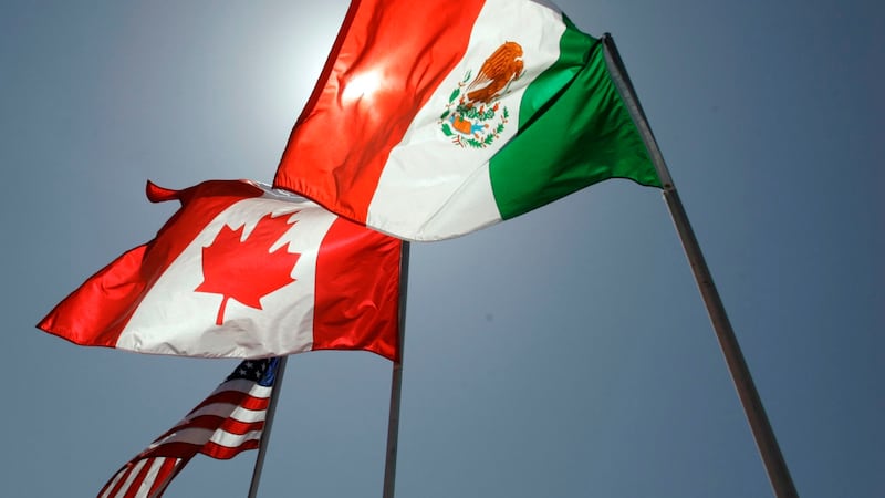 President Donald Trump said Sunday that Americans could feel “some pain” from the emerging...