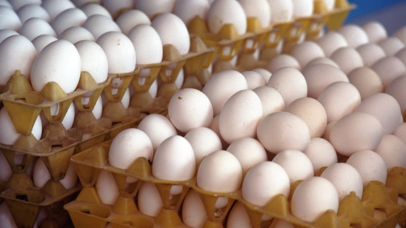 Las Vegas restaurant owner won’t raise prices while searching for supply amid egg shortage
