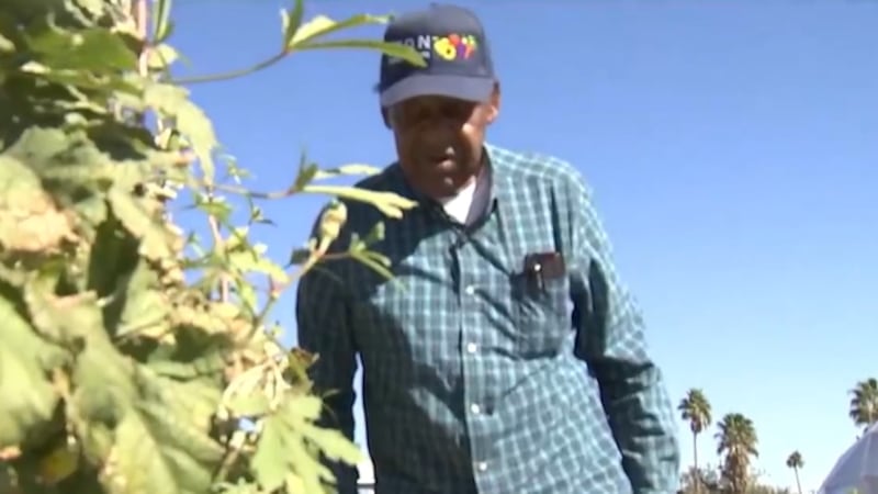 A North Las Vegas church with an urban farm is helping valley residents stay in budget and...